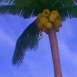Thumbnail of related posts 131